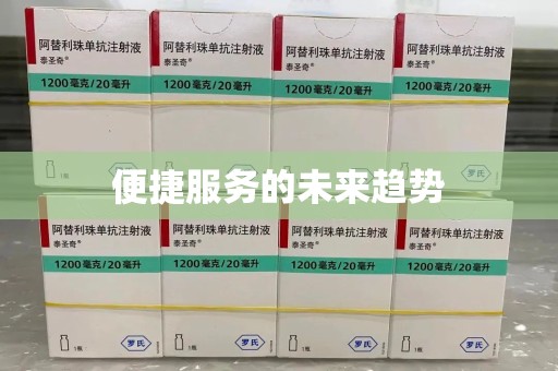 岳阳便捷服务的未来趋势