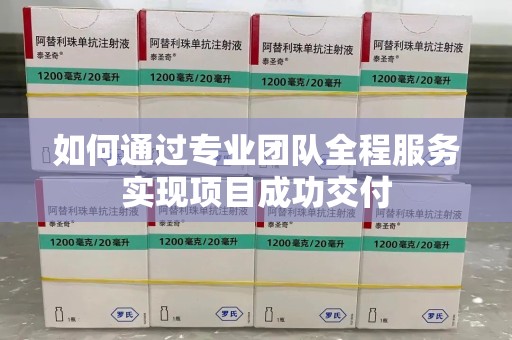 岳阳如何通过专业团队全程服务实现项目成功交付