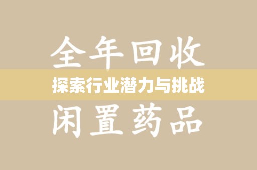 岳阳探索行业潜力与挑战