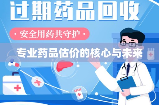 岳阳专业药品估价的核心与未来