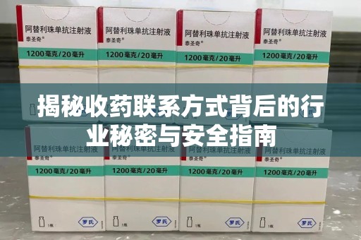 岳阳揭秘收药联系方式背后的行业秘密与安全指南