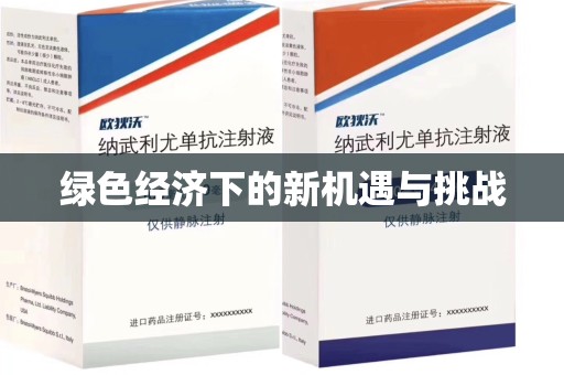 岳阳绿色经济下的新机遇与挑战