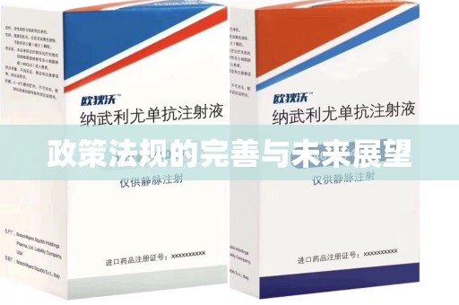 岳阳政策法规的完善与未来展望