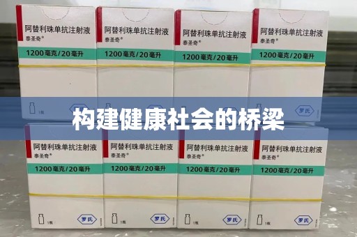 岳阳构建健康社会的桥梁