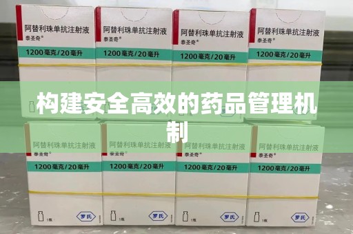 岳阳构建安全高效的药品管理机制