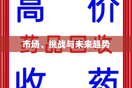 岳阳市场、挑战与未来趋势
